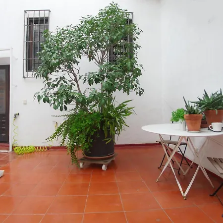 Vip House Rentals, Entire In Old Town Apartment Malaga